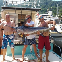 Big game fishing | fotogalerija