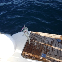 Big game fishing | fotogalerija