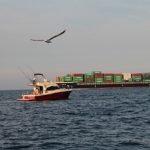 Big game fishing | fotogalerija