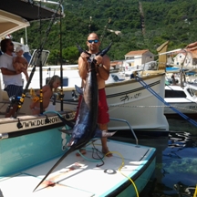 Big game fishing | fotogalerija