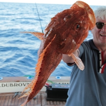 Big game fishing | fotogalerija