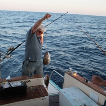 Big game fishing | fotogalerija